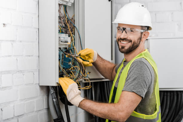Best Electric Panel Repair  in Wahese, NC